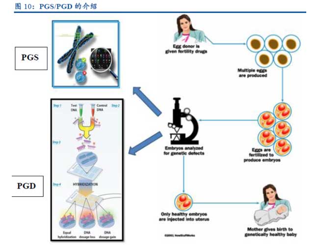 PGS/PGD的介绍