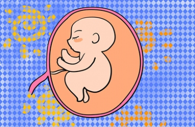 湖北上海试管婴儿移植几个胚胎好？