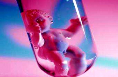 湖北广东广州做试管婴儿，哪些因素影响胚胎质量？