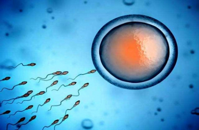 湖北浙江杭州做试管婴儿怎么才能得到A级囊胚？