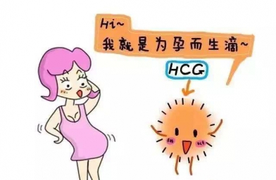 HCG、孕酮、流产之间的关系-E试管-备孕试管婴儿