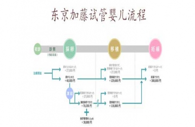 东京加藤医院微刺激方案试管流程及适应人群一览-备孕试管不孕不育知识